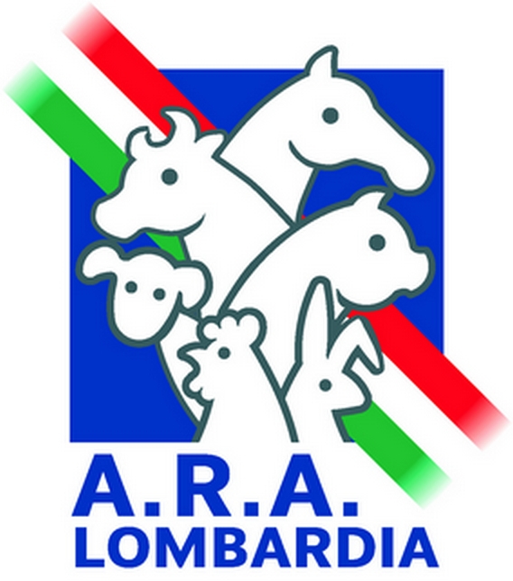 Logo ARAL nuovopiccolo21
